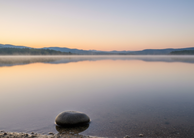 Reclaim Your Peace