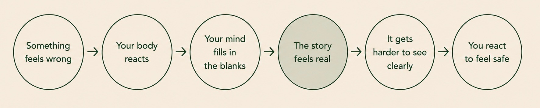 Why You React the Way You Do diagram Flow diagram showing how a familiar reaction unfolds: something feels wrong, the body prepares to protect you, the mind fills in the blanks, the story feels real, clear seeing becomes harder, and a familiar reaction follows.