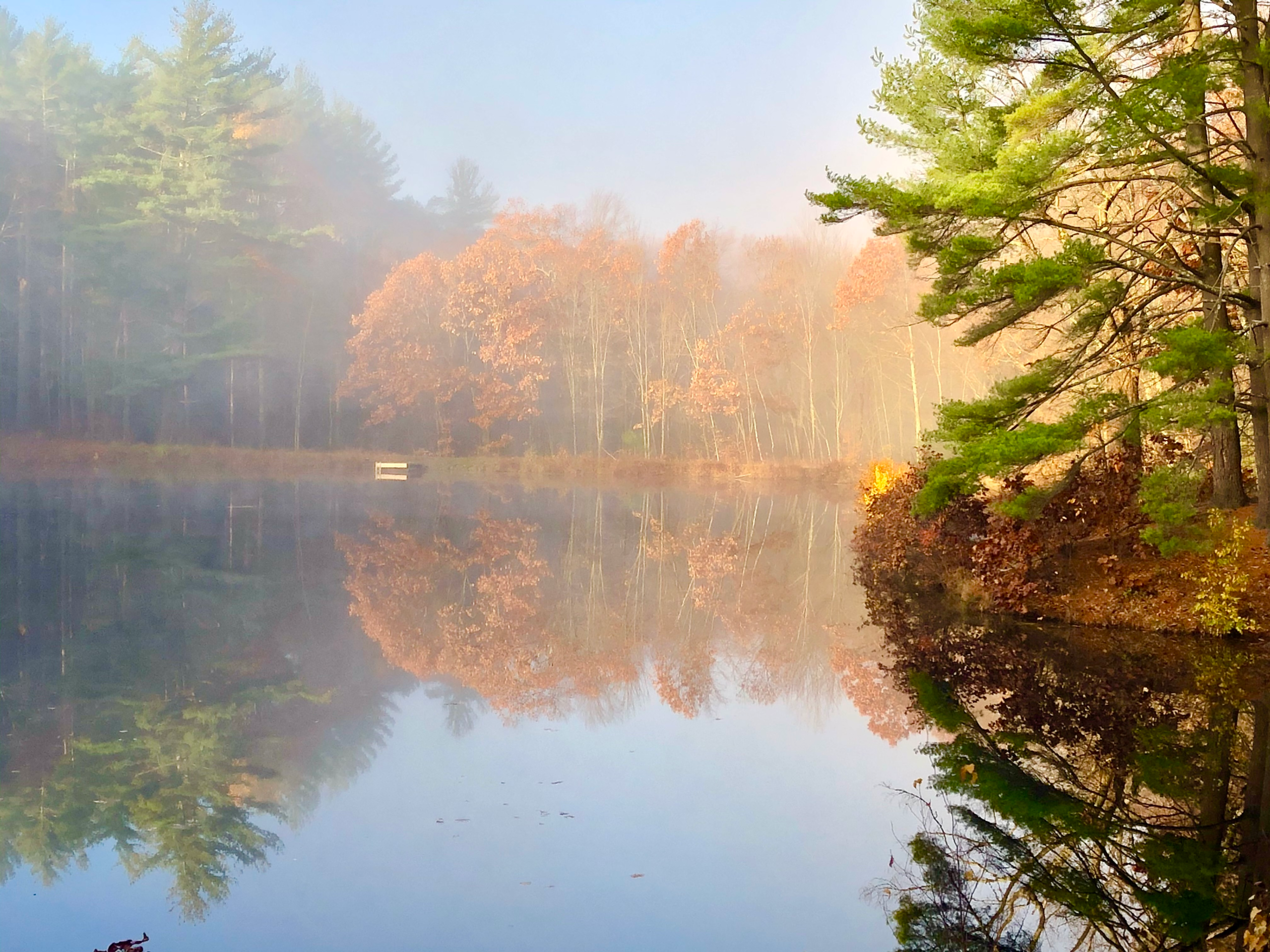 Title: Autumn Lake in Morning Mist A peaceful lake reflecting autumn trees in soft morning mist.